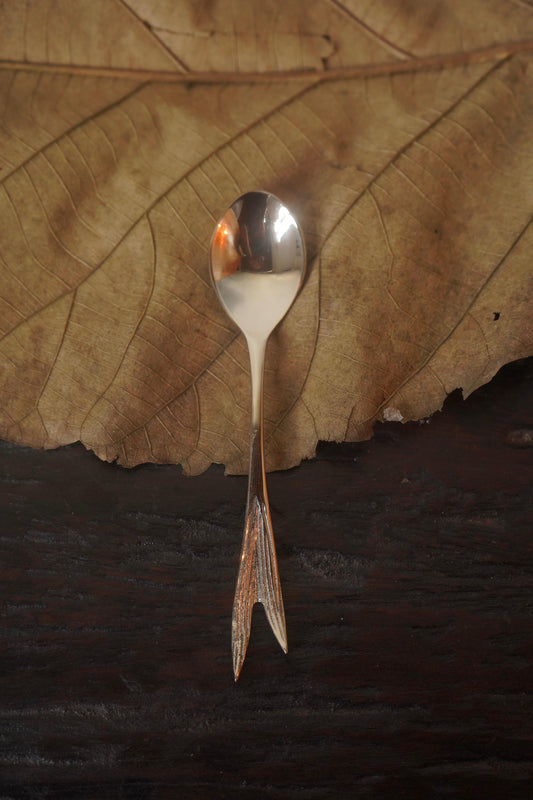 Caryota Palm Spoon Set