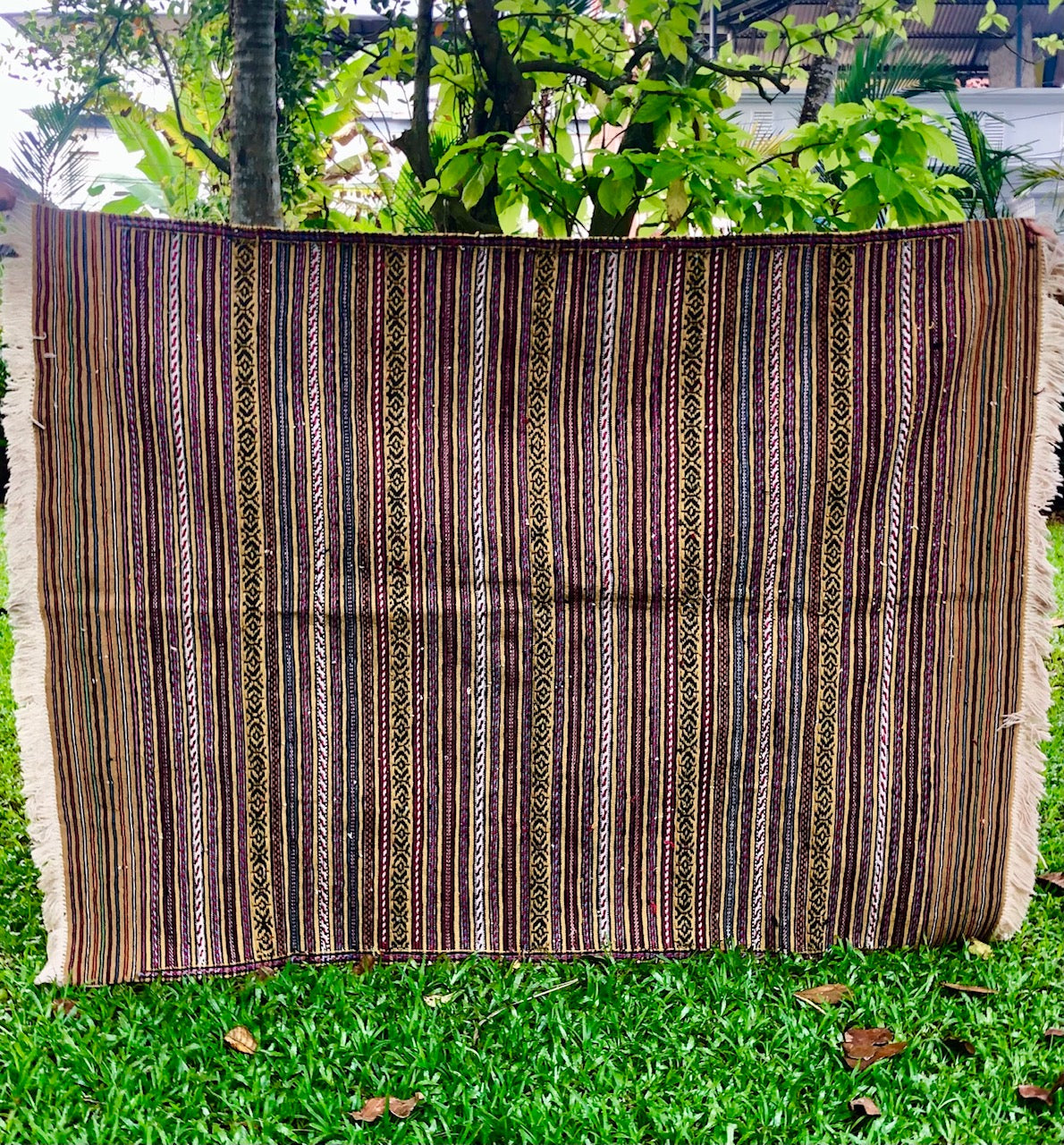 Vintage Rug 1: Afghanistan